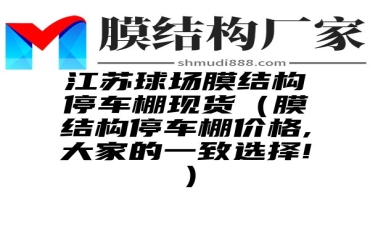 江苏球场膜结构停车棚现货（膜结构停车棚价格,大家的一致选择!）