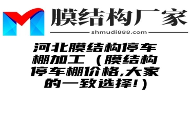 河北膜结构停车棚加工（膜结构停车棚价格,大家的一致选择!）