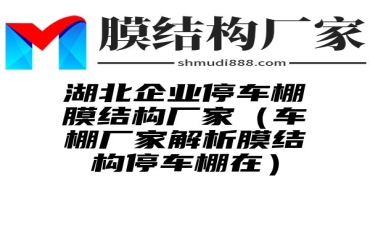 湖北企业停车棚膜结构厂家（车棚厂家解析膜结构停车棚在）