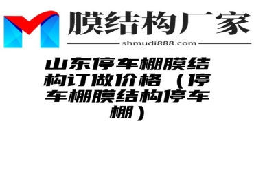 山东停车棚膜结构订做价格（停车棚膜结构停车棚）