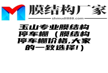 玉山专业膜结构停车棚（膜结构停车棚价格,大家的一致选择!）