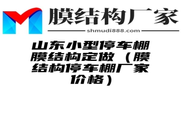 山东小型停车棚膜结构定做（膜结构停车棚厂家价格）