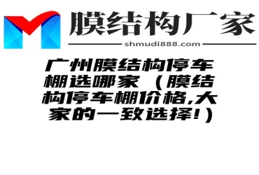 广州膜结构停车棚选哪家（膜结构停车棚价格,大家的一致选择!）