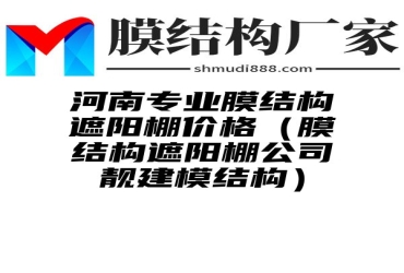 河南专业膜结构遮阳棚价格（膜结构遮阳棚公司靓建模结构）