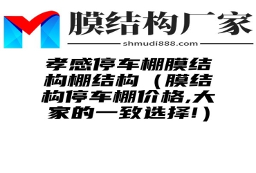 孝感停车棚膜结构棚结构（膜结构停车棚价格,大家的一致选择!）